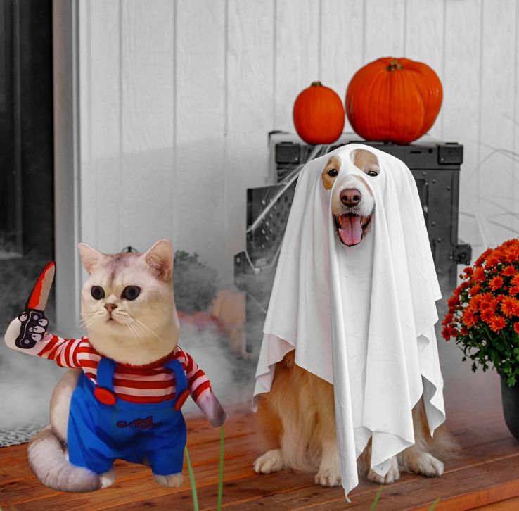 Scary Chucky Animal Costume